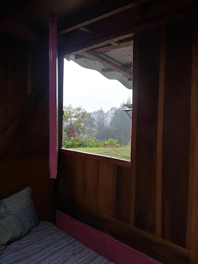Finca Cafetera El Coral Хардин Экстерьер фото