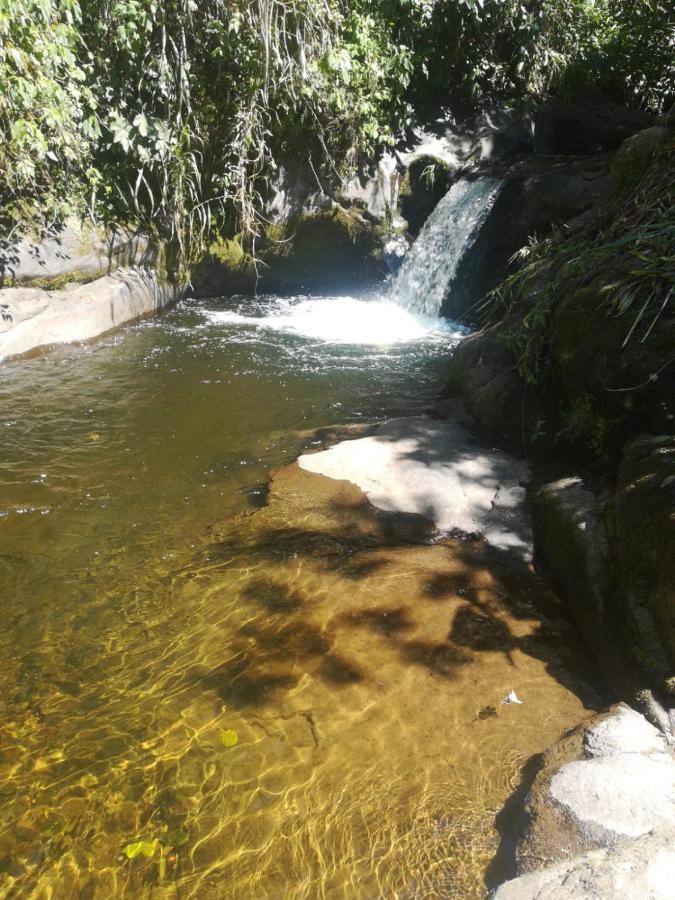 Finca Cafetera El Coral Хардин Экстерьер фото
