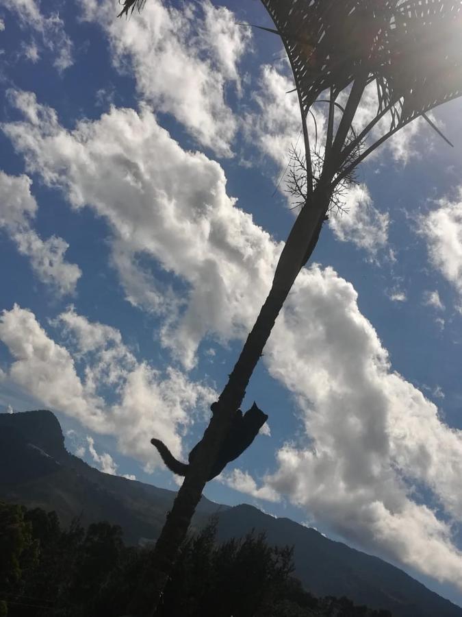 Finca Cafetera El Coral Хардин Экстерьер фото