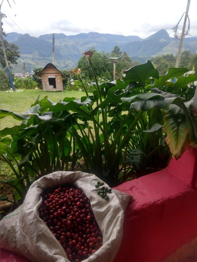 Finca Cafetera El Coral Хардин Экстерьер фото