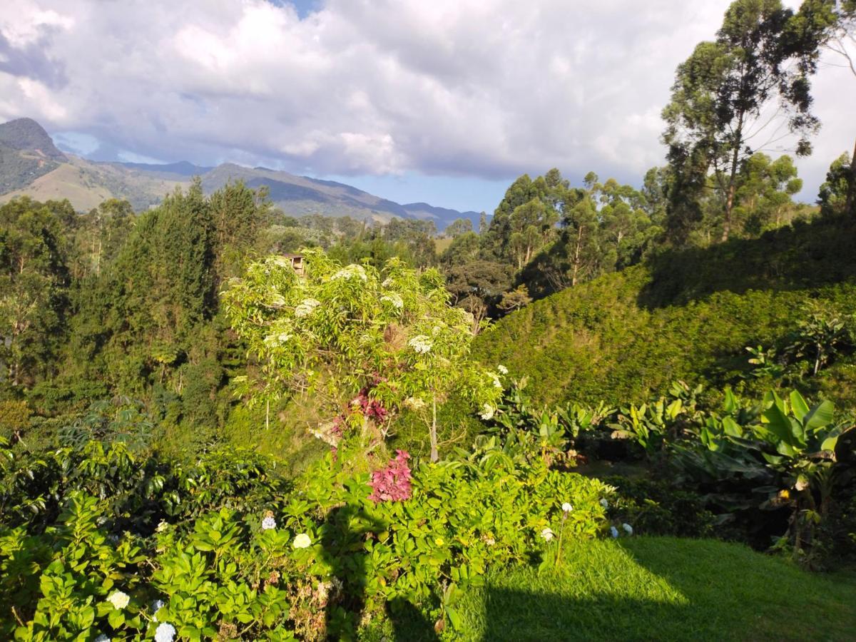Finca Cafetera El Coral Хардин Экстерьер фото